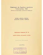 Osteología de Pygidium aerolatum Valenciennes, 1848