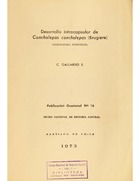 Desarrollo intracapsular de Concholepas concholepas (Brugiere)