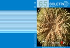 Bolet�n 65